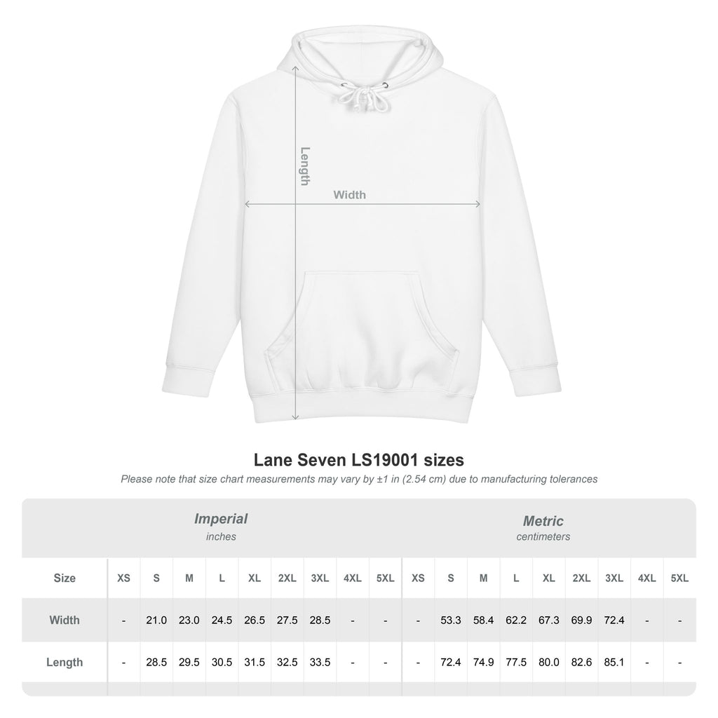 Today I Will Positive Mindset Unisex Hoodie